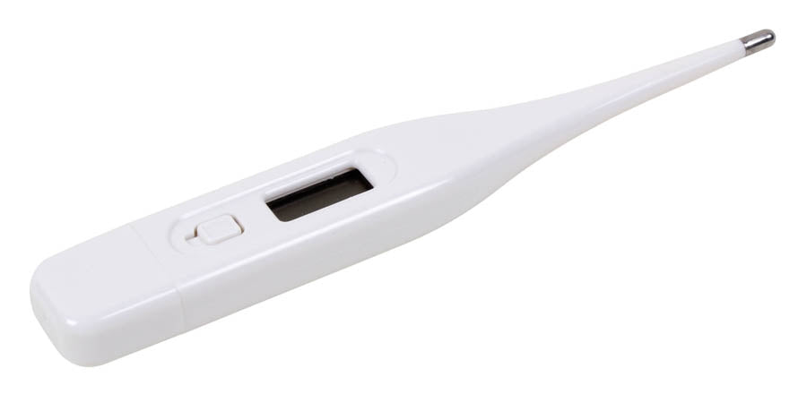 Digital Stick Thermometer