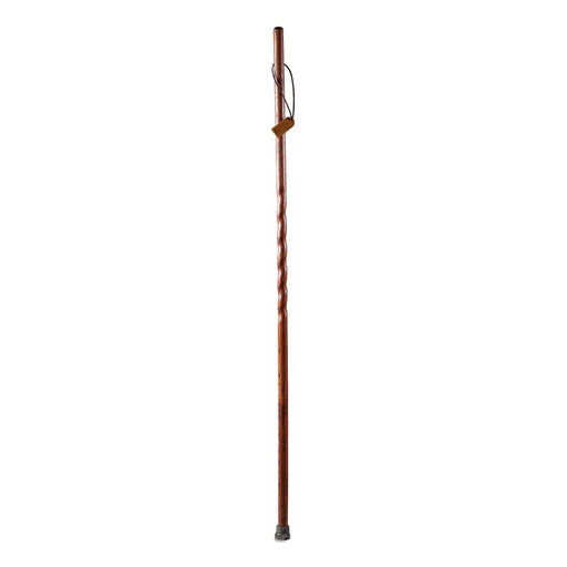 Walking Stick