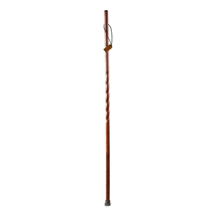 Walking Stick