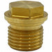 Valve Cap RM Brass